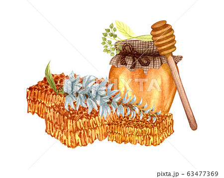 Watercolor illustration of flower honey with white acacia and linden twig on white background. Hand drawn set white acacia/wisteria flower, honey pot and dipping. Watercolor illustration of flower honey with white acacia and linden twig on white background. Hand drawn set white acacia/wisteria flower, honey pot and dipping. 63477369