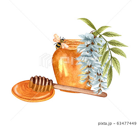 Watercolor illustration of acacia honey on white background. Hand drawn set white  acacia/wisteria flower, bee, honey jar and barrel. 63477449