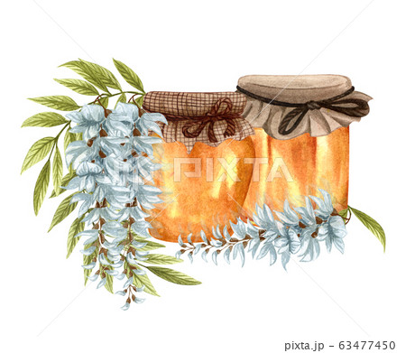 Watercolor illustration of acacia honey on white background. Hand drawn set white  acacia/wisteria flower, honey jar and barrel. 63477450