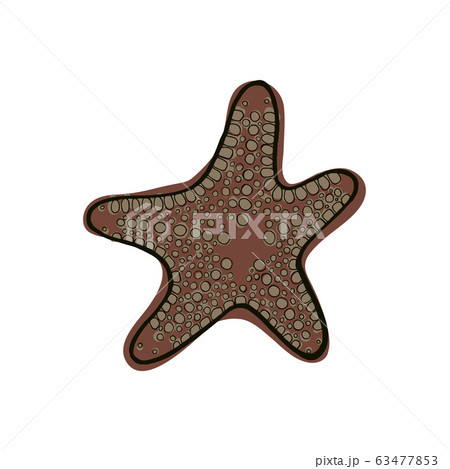 Brown starfish. 63477853