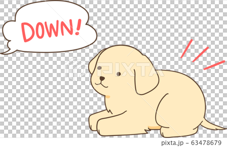 ゴールデンレトリバーの子犬(伏せ) ゴールデンレトリバーの子犬(伏せ) 63478679