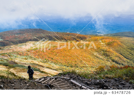 栗駒山紅葉神の絨毯と登山道 栗駒山紅葉神の絨毯と登山道 63478726