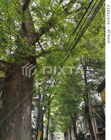 鬼子母神 都電荒川線 鬼子母神 都電荒川線 63479953