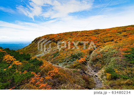 栗駒山紅葉神の絨毯と登山道 63480234
