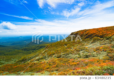 栗駒山紅葉神の絨毯 63480235