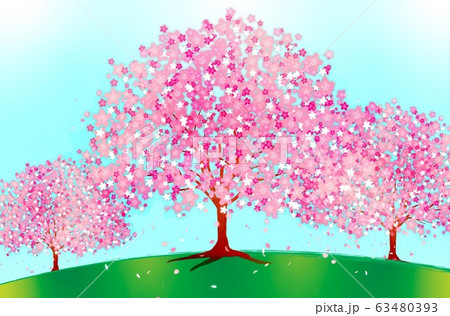 桜の風景 桜の風景 63480393