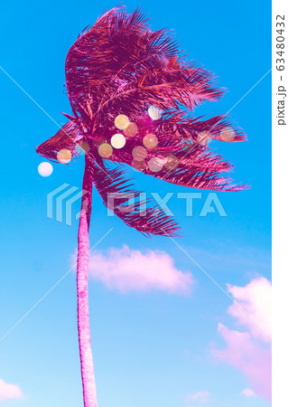 Tropical palm coconut trees on sunset sky flare Tropical palm coconut trees on sunset sky flare 63480432