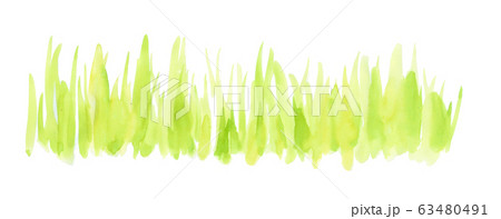 草むらのイラスト素材