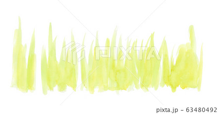 草むら 背景素材のイラスト素材