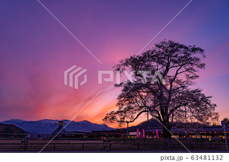 福島県 二本松市 道の駅安達の桜 万燈桜の夕景 遠くに安達太良山が見える 福島県 二本松市 道の駅安達の桜 万燈桜の夕景 遠くに安達太良山が見える 63481132