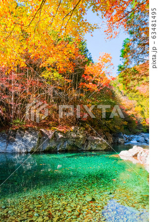 阿寺渓谷（秋） 63481495