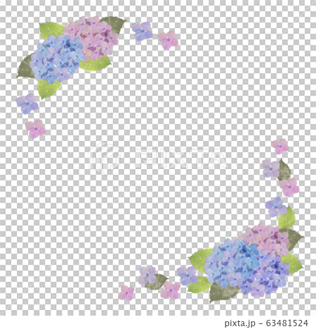 Hydrangea Frame - Stock Illustration [63481524] - PIXTA
