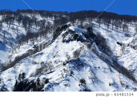 青空と残雪と稜線のブナ林-浅草岳東面 福島県只見町 青空と残雪と稜線のブナ林-浅草岳東面 福島県只見町 63481534