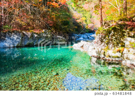 阿寺渓谷（秋） 63481848