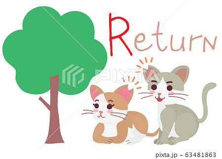 地域猫TNRの説明イラスト　Return 63481863