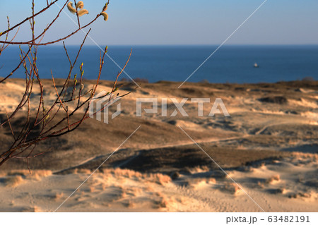 Sunset view of nordic sand dunes, early spring tree branches and Baltic sea at Curonian spit, Nida, Klaipeda, Lithuania Sunset view of nordic sand dunes, early spring tree branches and Baltic sea at Curonian spit, Nida, Klaipeda, Lithuania 63482191