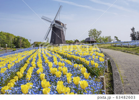 Flower Expo Memorial Park Tsurumi Ryokuchi - Stock Photo