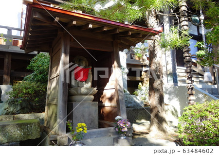 遍照寺 63484602