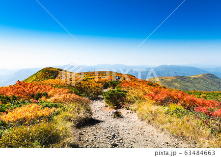 快晴の栗駒山紅葉神の絨毯と登山道 63484663