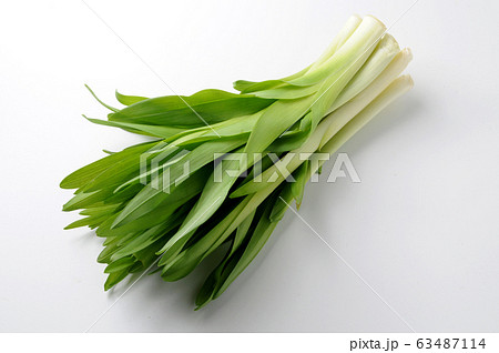 萱草野菜 63487114