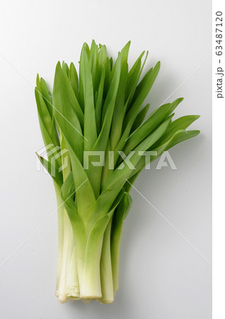 萱草野菜 63487120