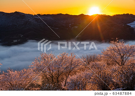 《埼玉県》霧氷と秩父の大雲海・積雪の美の山公園 63487884