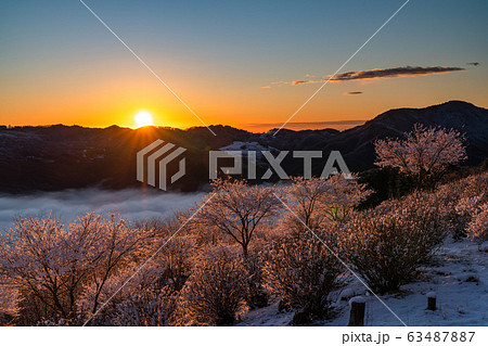 《埼玉県》霧氷と秩父の大雲海・積雪の美の山公園 《埼玉県》霧氷と秩父の大雲海・積雪の美の山公園 63487887