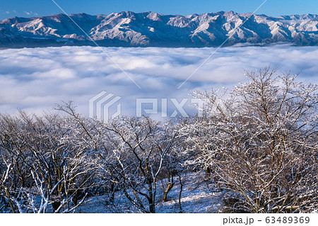 《埼玉県》霧氷と秩父の大雲海・積雪の美の山公園 《埼玉県》霧氷と秩父の大雲海・積雪の美の山公園 63489369