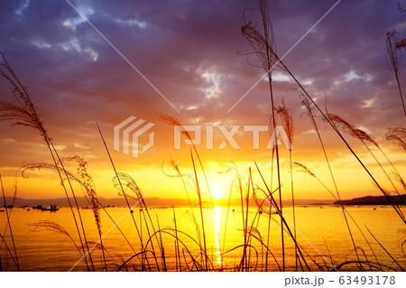 ススキと夕日 63493178
