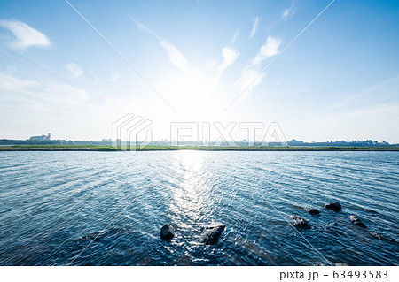 河川敷 日野川 の写真素材