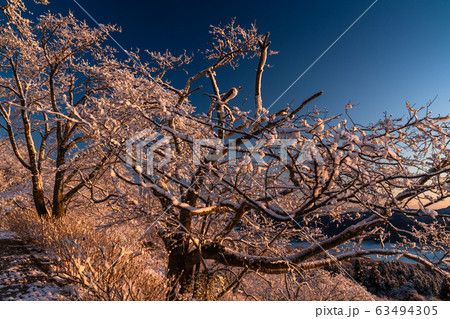 《埼玉県》積雪の美の山公園 63494305