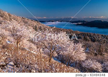 《埼玉県》霧氷と秩父の大雲海・積雪の美の山公園 《埼玉県》霧氷と秩父の大雲海・積雪の美の山公園 63494348