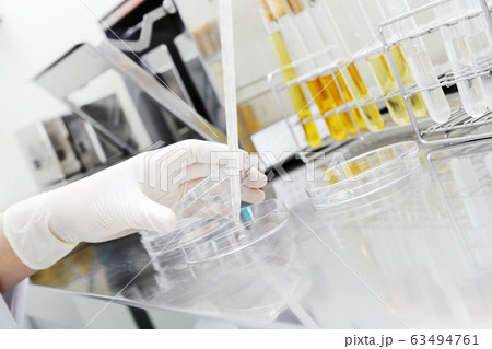 検査 研究 実験 試験管 ペトリ皿 ピペット 検査 研究 実験 試験管 ペトリ皿 ピペット 63494761