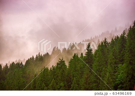 Misty mountain landscape Misty mountain landscape 63496169