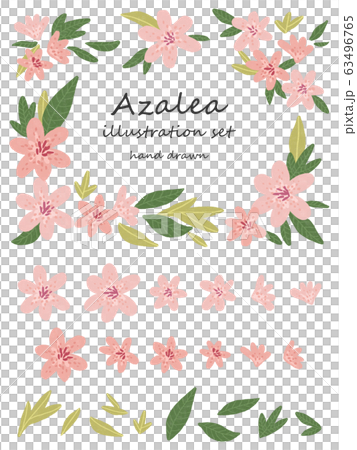 ツツジ(アゼリア)の手描きイラストセット ツツジ(アゼリア)の手描きイラストセット 63496765