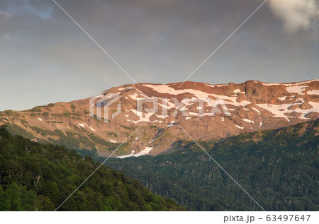 Mountain range and forest in the Conguillio National Park. Mountain range and forest in the Conguillio National Park. 63497647
