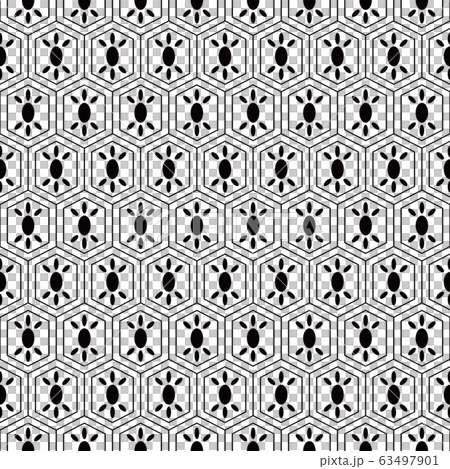 日本の伝統模様　亀甲文様 63497901