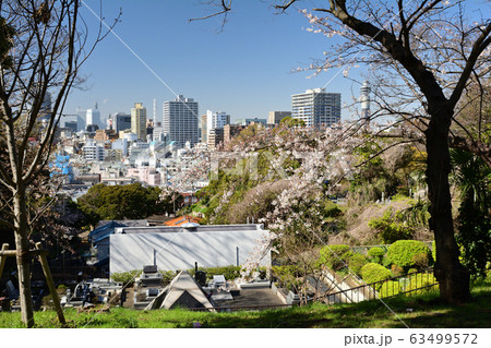 横浜・山手 横浜・山手 63499572