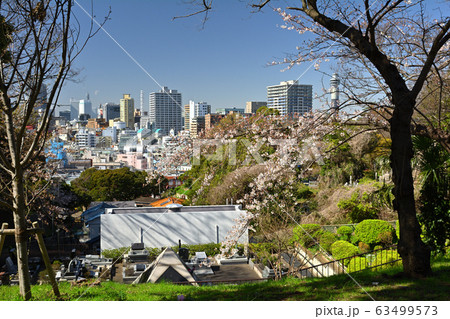 横浜・山手 横浜・山手 63499573