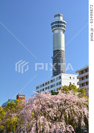 横浜・山下公園 63499872