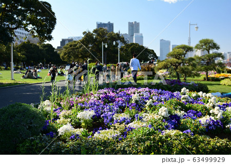 横浜・山下公園 横浜・山下公園 63499929