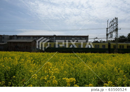 90周年記念電車と菜の花畑 90周年記念電車と菜の花畑 63500524