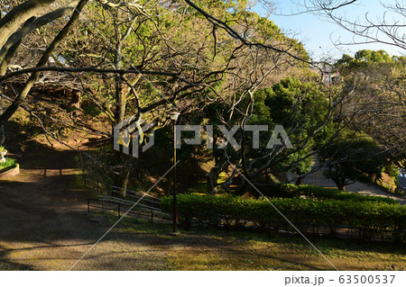 横浜・山手公園 横浜・山手公園 63500537