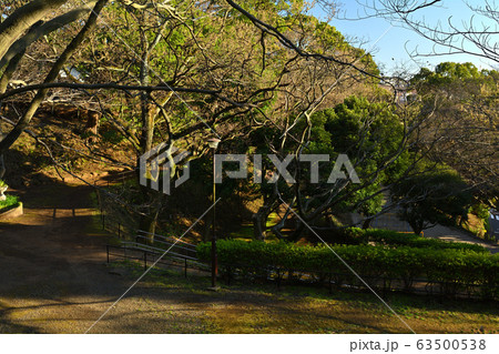 横浜・山手公園 63500538