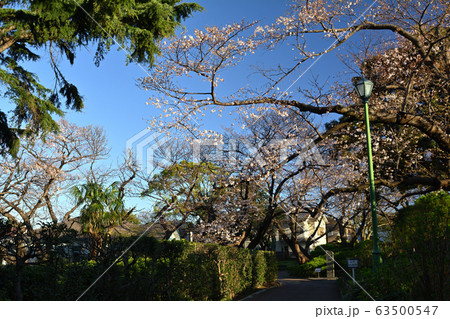 横浜・山手公園 63500547