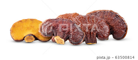 Lingzhi Mushroom Ganoderma Lucidum on white 63500814