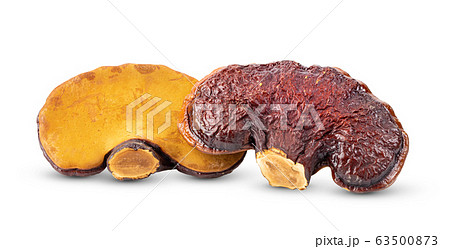 Lingzhi Mushroom Ganoderma Lucidum on white Lingzhi Mushroom Ganoderma Lucidum on white 63500873