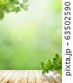 背景-ナチュラル-葉-ウッドデッキ-グリーン-春-初夏-夏 63502590