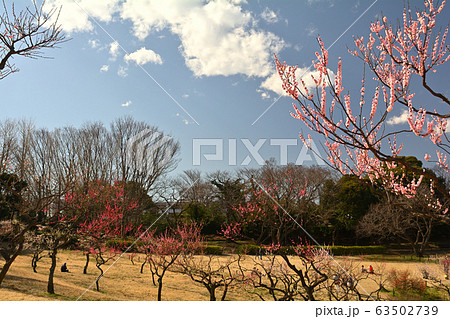横浜・根岸森林公園 横浜・根岸森林公園 63502739