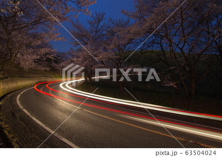 夜の桜道 車の光跡・・２の写真素材 [63504024] - PIXTA